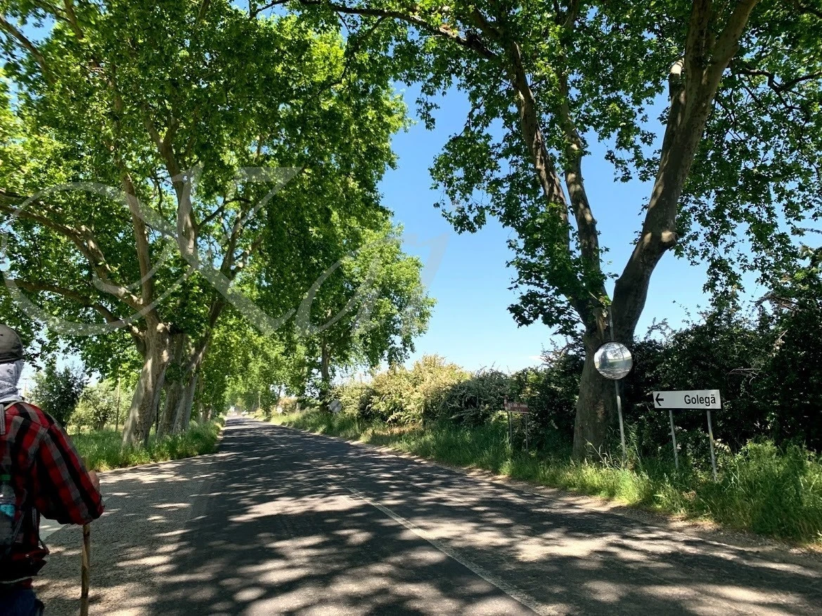 1_2c0Ud018svckojqaag6o2qs_wocx9r.jpg?type=e1920_std