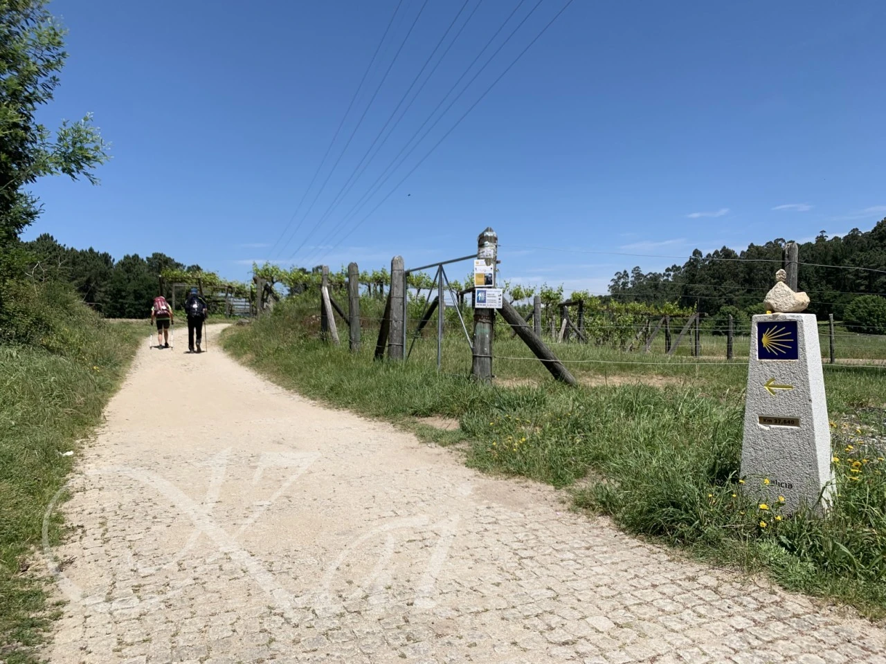 a_1gfUd018svc7zdxeynkaa5r_wocx9r.png?type=e1920_std