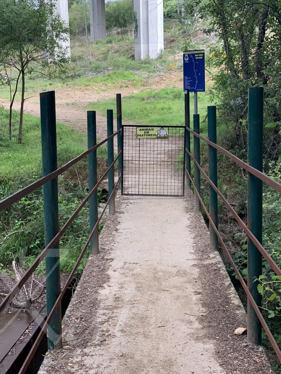 5_857Ud018svc19a8ovxobfnye_wocx9r.png?type=e1920_std