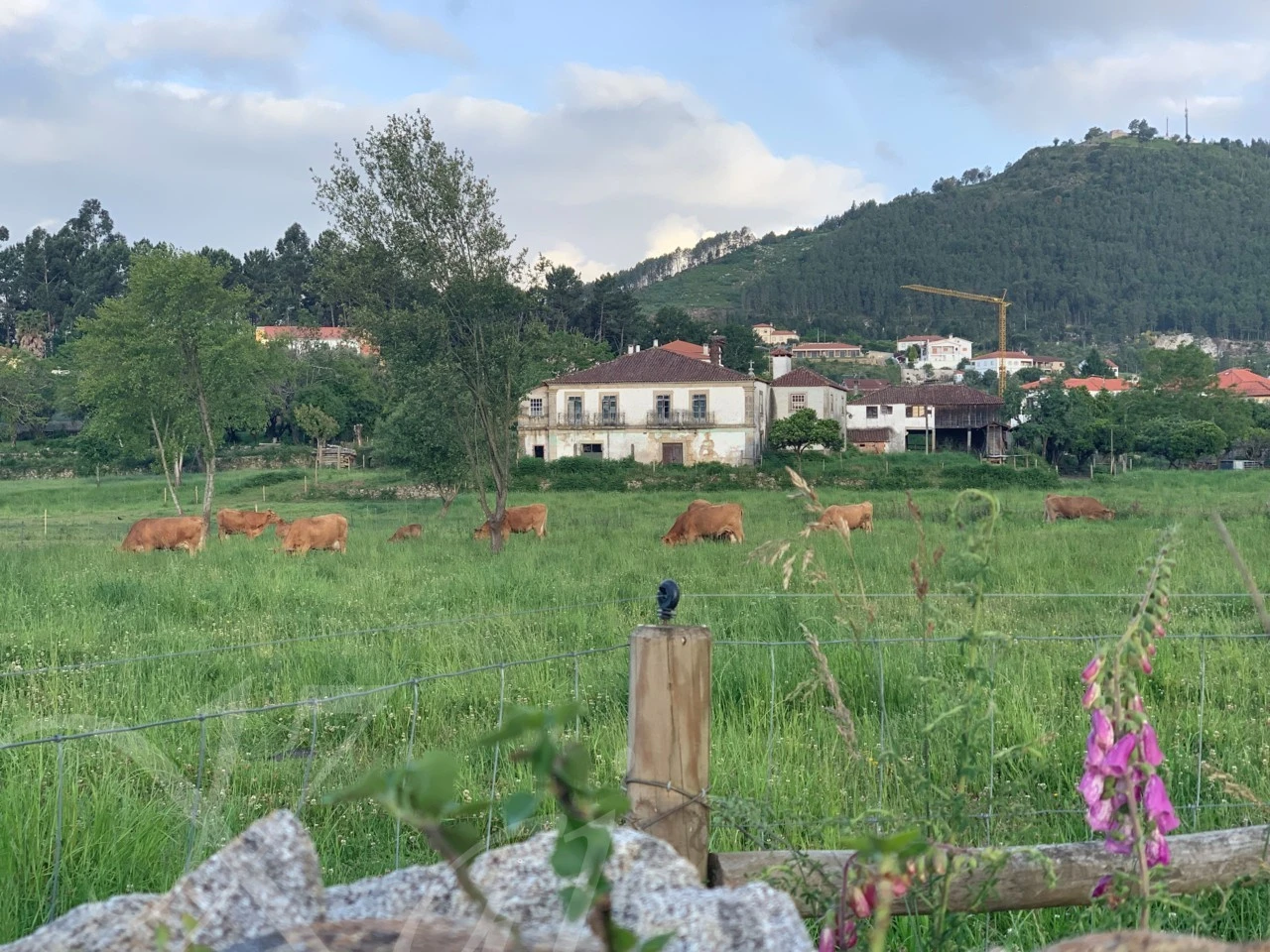 c_755Ud018svc1anbmstt2nds8_wocx9r.png?type=e1920_std