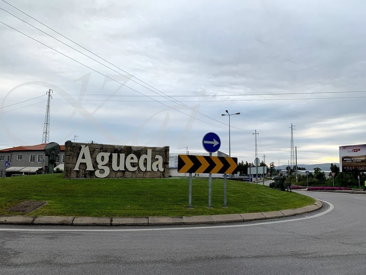 i_133Ud018svcarl3yauom8wc_wocx9r.jpg?type=e1920_std