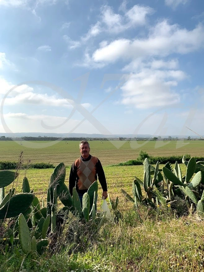 j_804Ud018svc18482em3znqnm_wocx9r.jpg?type=e1920_std