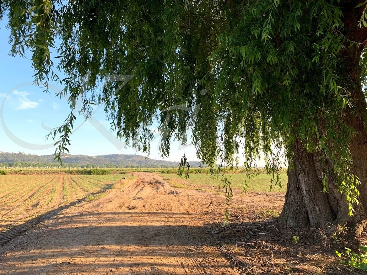 h_abjUd018svc1wsntyfs1mw2f_wocx9r.jpg?type=e1920_std