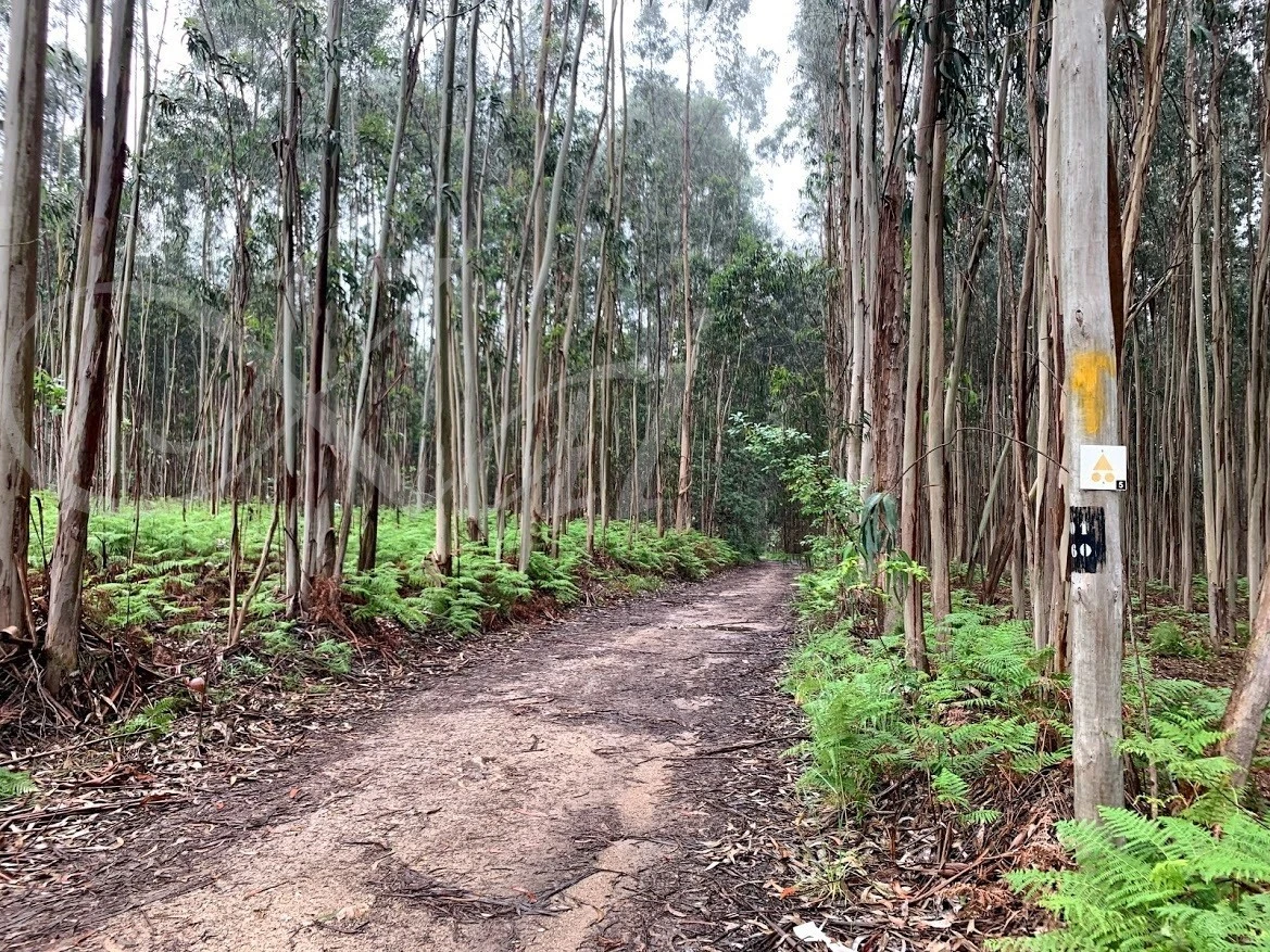 7_g2dUd018svcw1p0uh2g9jhn_wocx9r.jpg?type=e1920_std