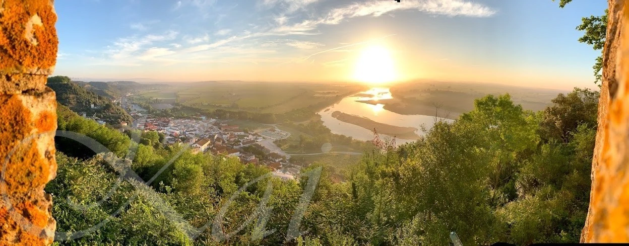 g_gbjUd018svcynokuki0i801_wocx9r.jpg?type=e1920_std