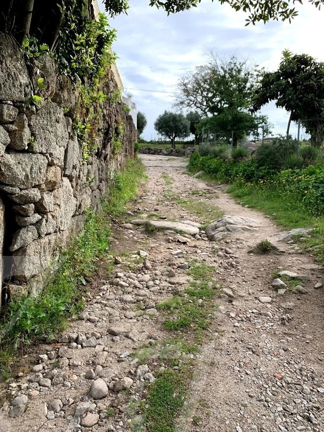 a_jdaUd018svc4dqcz5ktj337_wocx9r.jpg?type=e1920_std