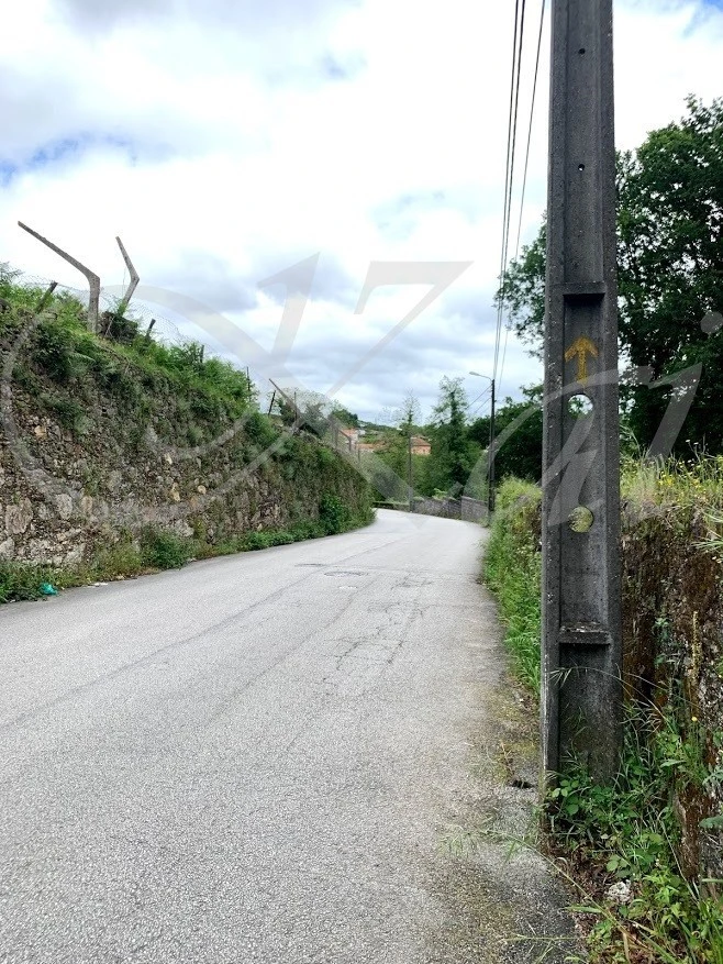 b_ha5Ud018svc180uzgoebxk7c_wocx9r.jpg?type=e1920_std