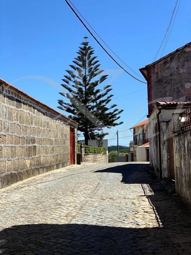 g_c0eUd018svc1p0u0vk0n9m4s_wocx9r.jpg?type=e1920_std