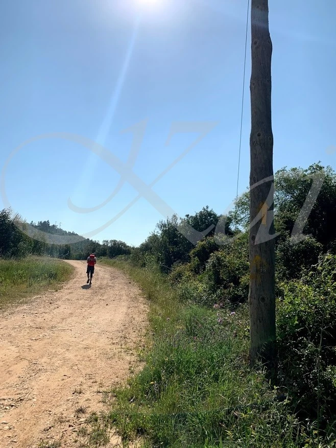 0_605Ud018svca8ir78dc7v20_wocx9r.jpg?type=e1920_std