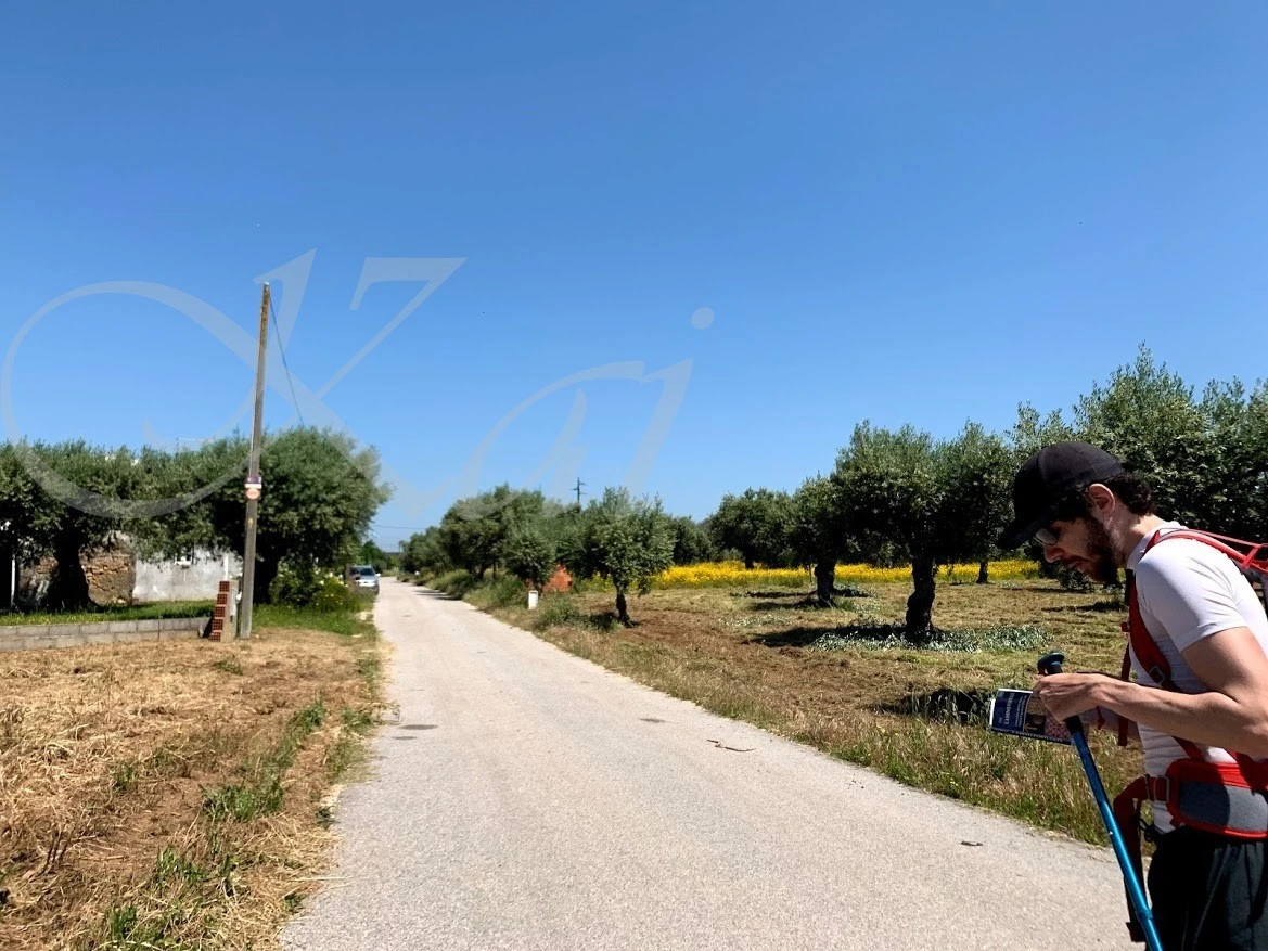 2_205Ud018svc1vwl28m6r1ioh_wocx9r.jpg?type=e1920_std