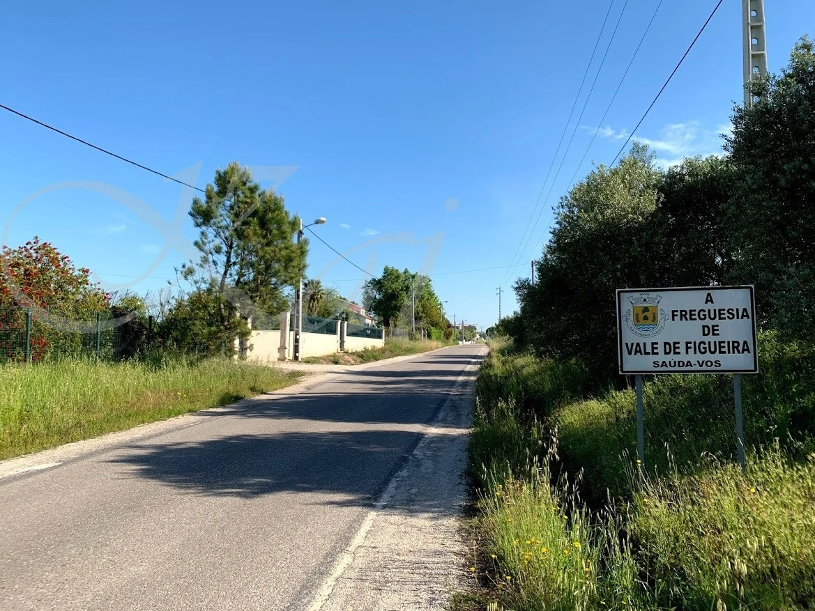 i_3bjUd018svcnt3hedd98dux_wocx9r.jpg?type=e1920_std