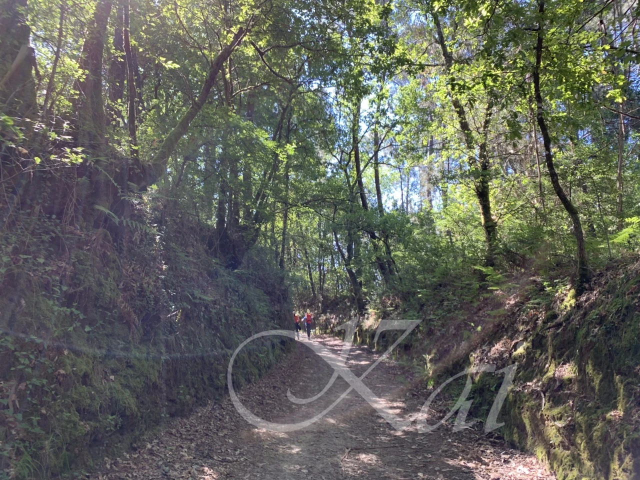 6_39dUd018svcyo79kuvbapio_wocx9r.png?type=e1920_std