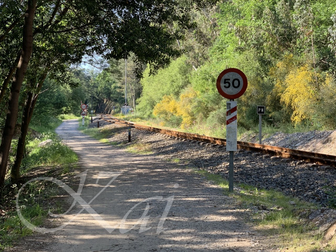 d_9d4Ud018svccuhfdmu1xgfq_wocx9r.png?type=e1920_std