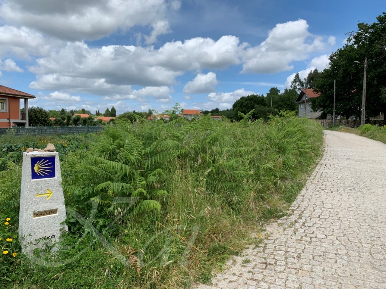 i_26cUd018svc19e4e5esq8uzf_wocx9r.jpg?type=e1920_std