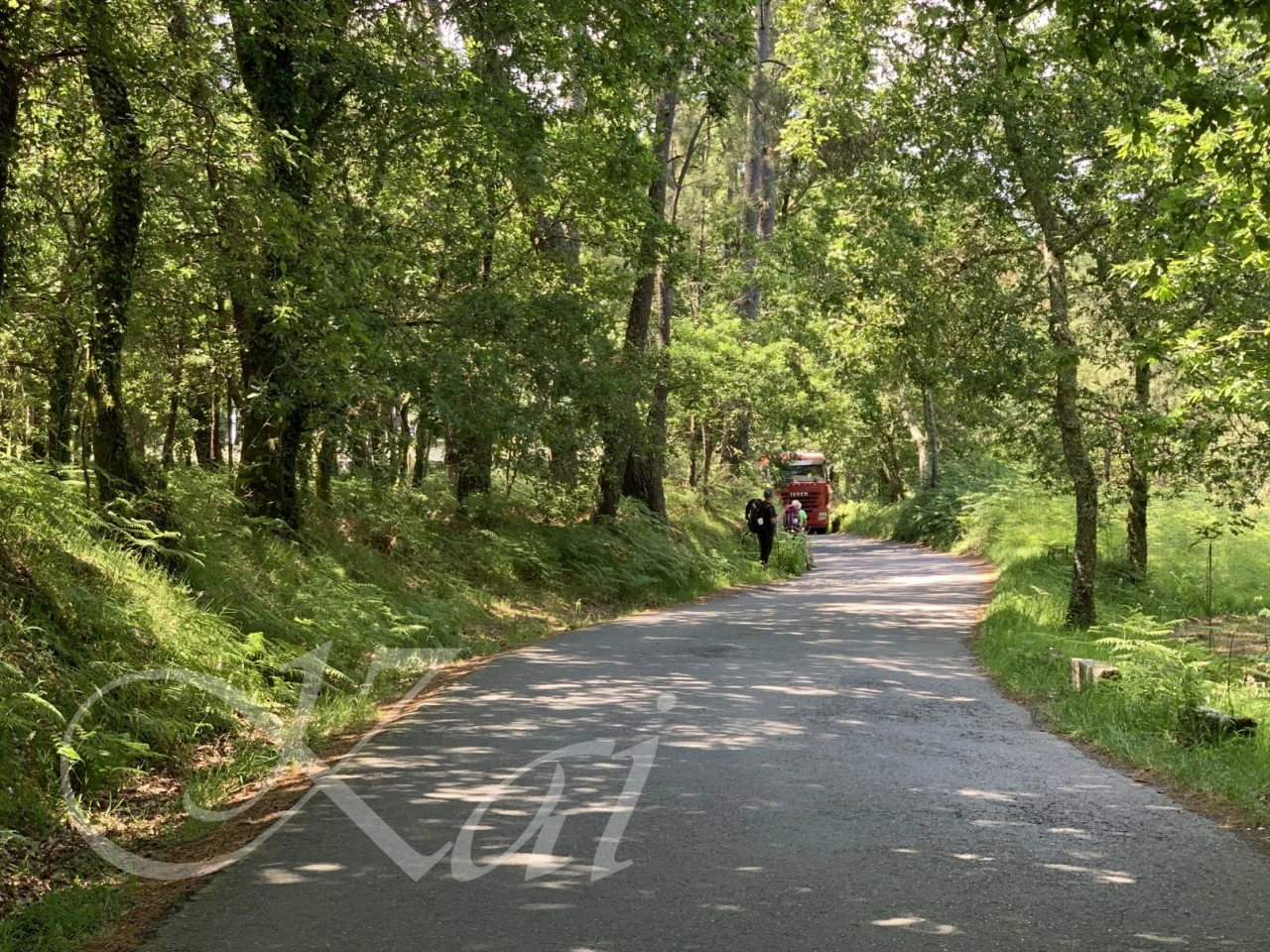 d_cgfUd018svc10nhm4m9i9lob_wocx9r.png?type=e1920_std