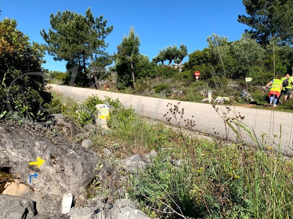 koIPtZVPzgTniH-vGCc1dDAZWow