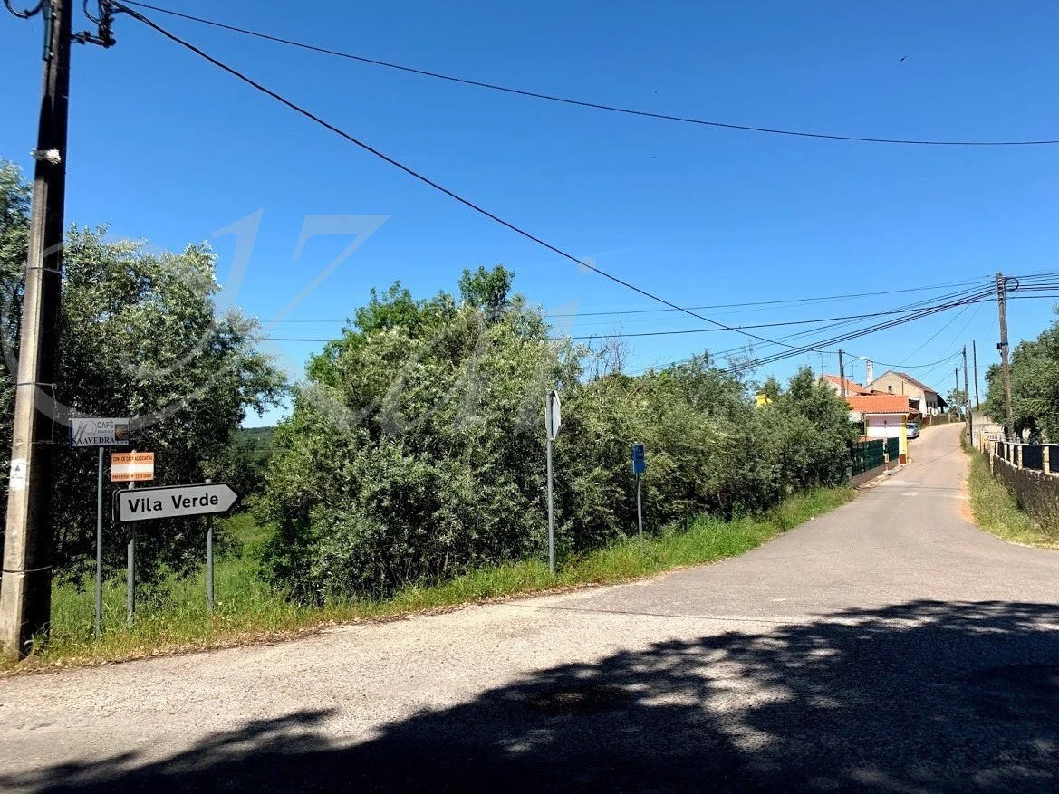 f_cc7Ud018svcnuoo2ovhzdj7_wocx9r.jpg?type=e1920_std