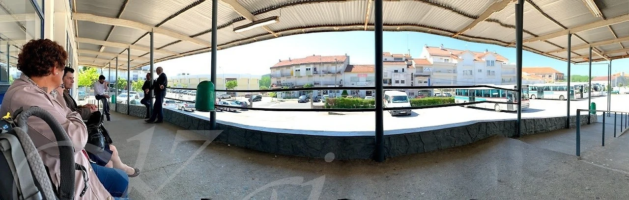 1_ai1Ud018svcsgdvybsya3x2_wocx9r.jpg?type=e1920_std