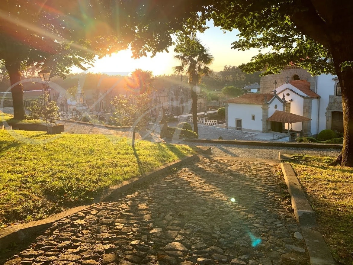 i_a0eUd018svc1wvk179hzmj12_wocx9r.jpg?type=e1920_std