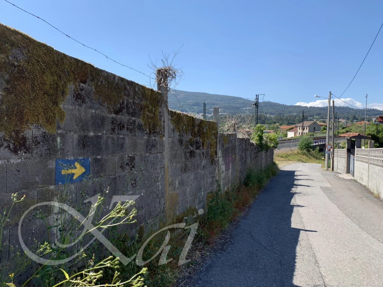 6_1d4Ud018svcji9yx2v1r8un_wocx9r.png?type=e1920_std