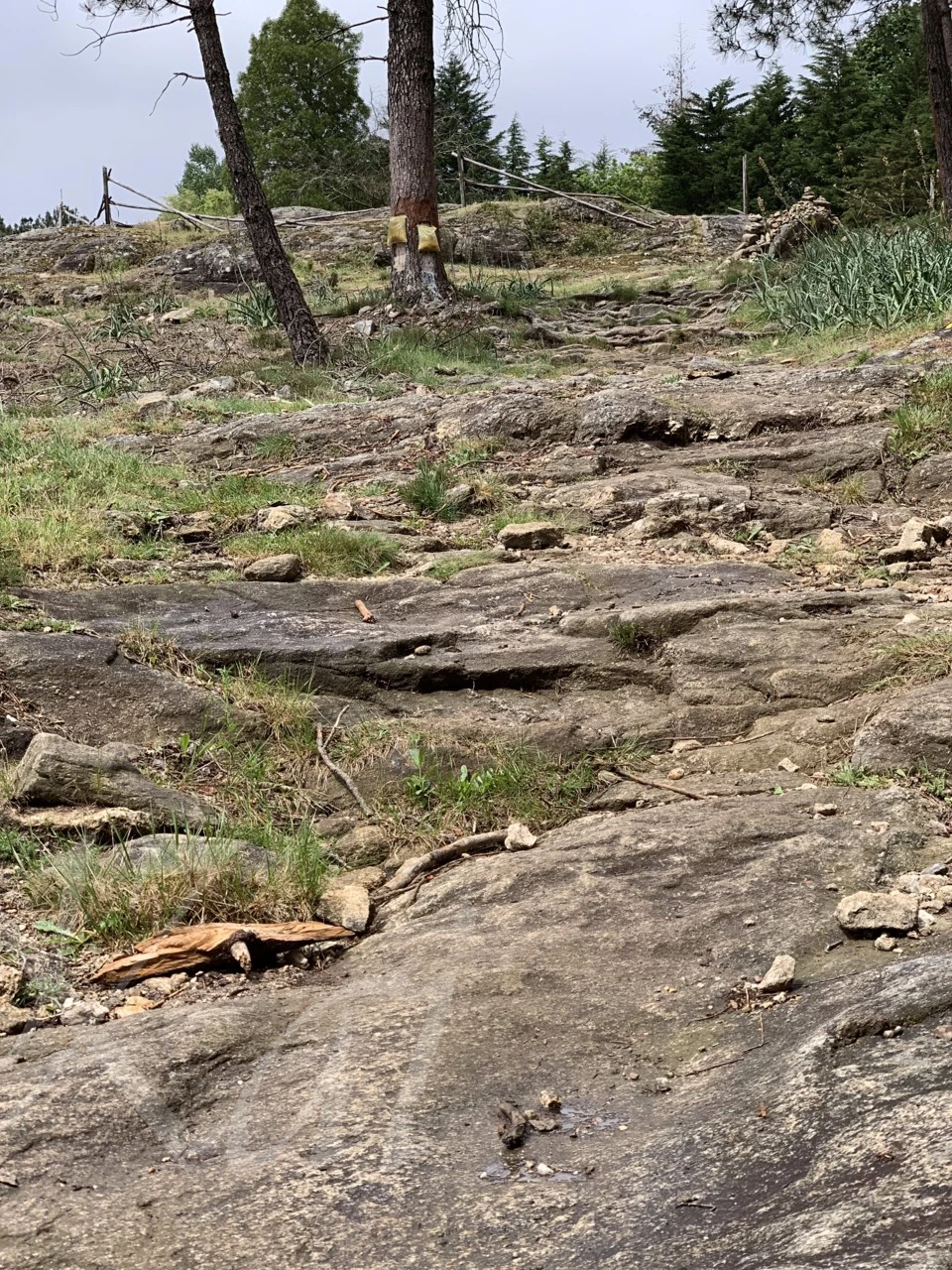 3_c5aUd018svctygf36bmkopw_wocx9r.png?type=e1920_std