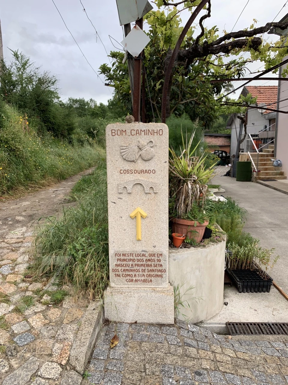 h_eebUd018svc6k7qz7n9lavk_wocx9r.png?type=e1920_std