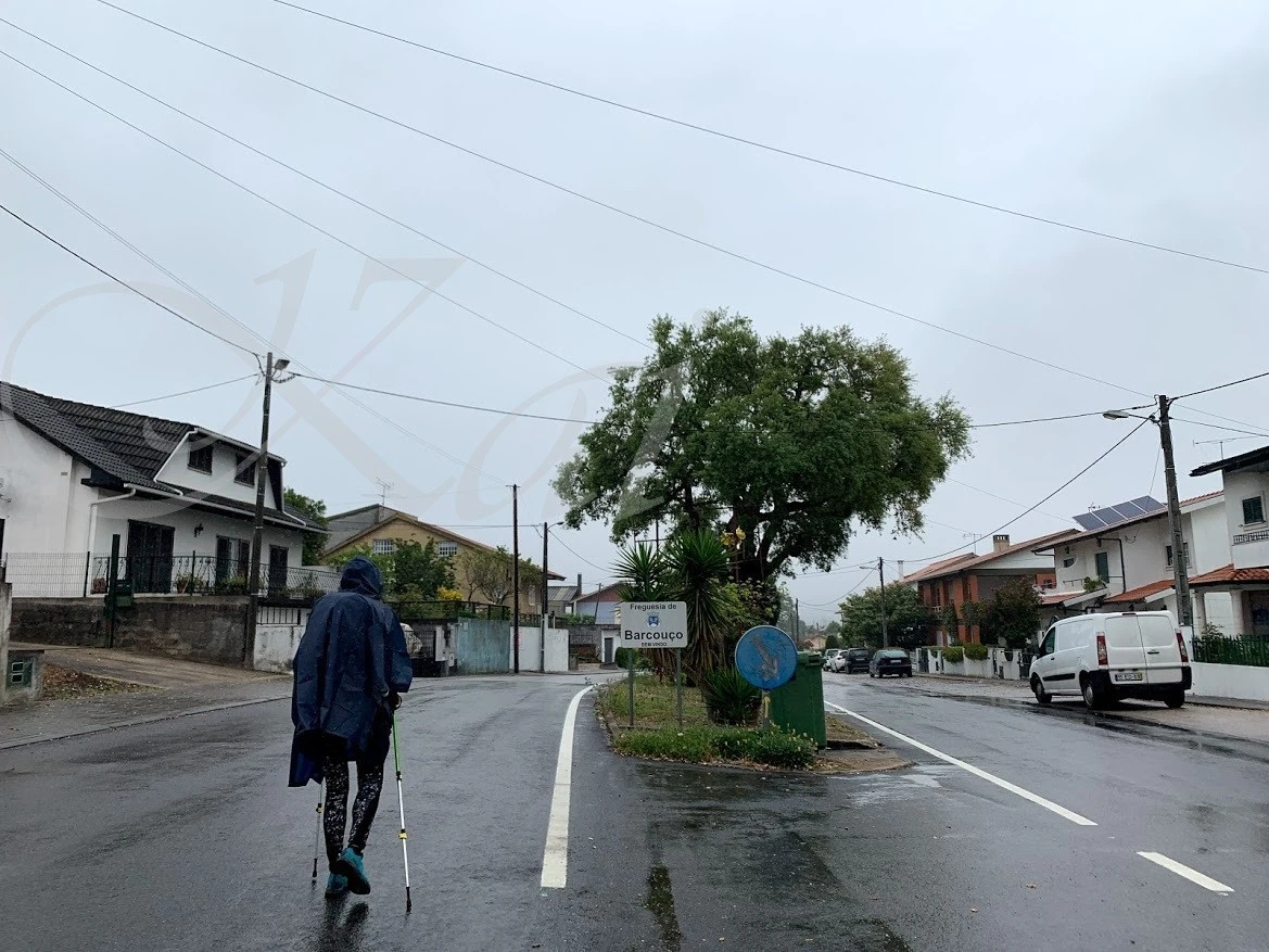 0_e8dUd018svc1giguk7v6hs3f_wocx9r.jpg?type=e1920_std