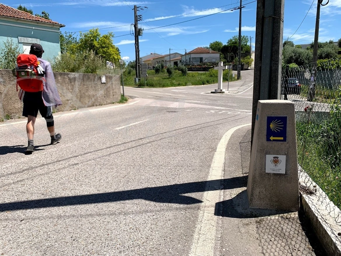 4_94jUd018svcprjng5gmehpp_wocx9r.jpg?type=e1920_std