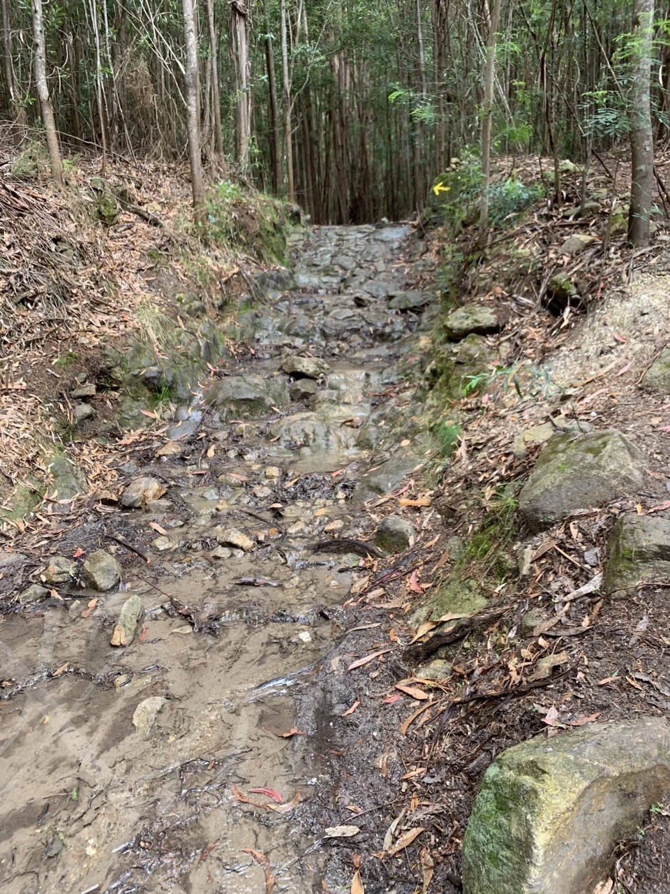 1_f59Ud018svc1o7v0yjdo28eo_wocx9r.png?type=e1920_std