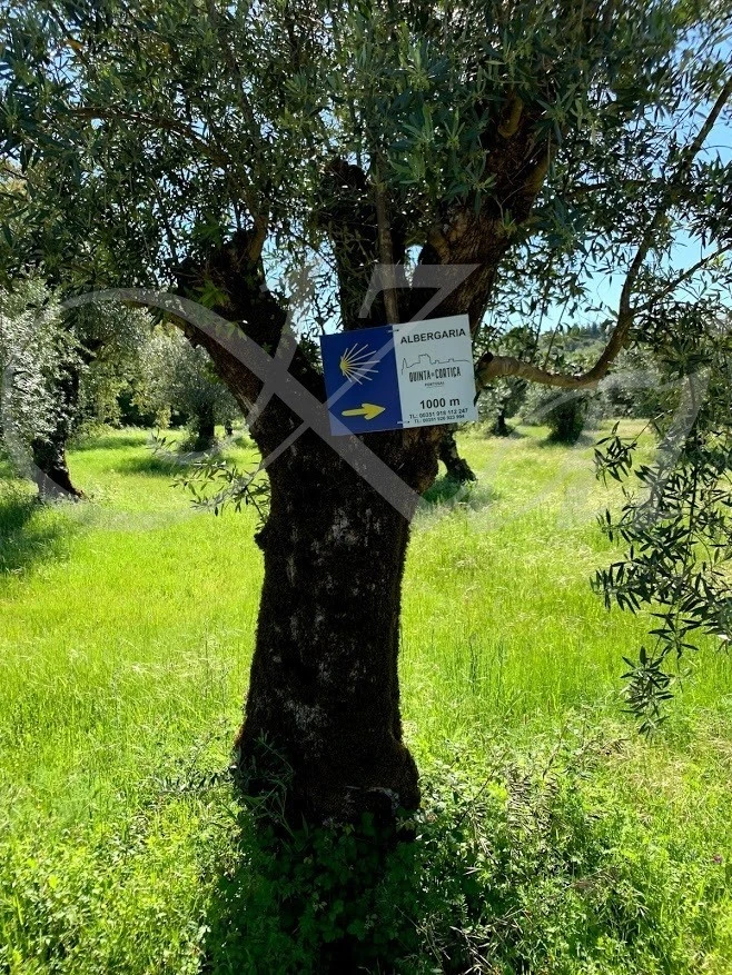 h_ac7Ud018svcaudeimzzuwa9_wocx9r.jpg?type=e1920_std