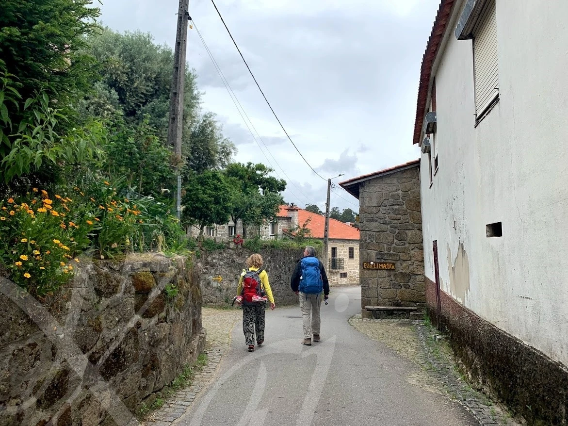 e_adaUd018svchanac9a87gi3_wocx9r.jpg?type=e1920_std