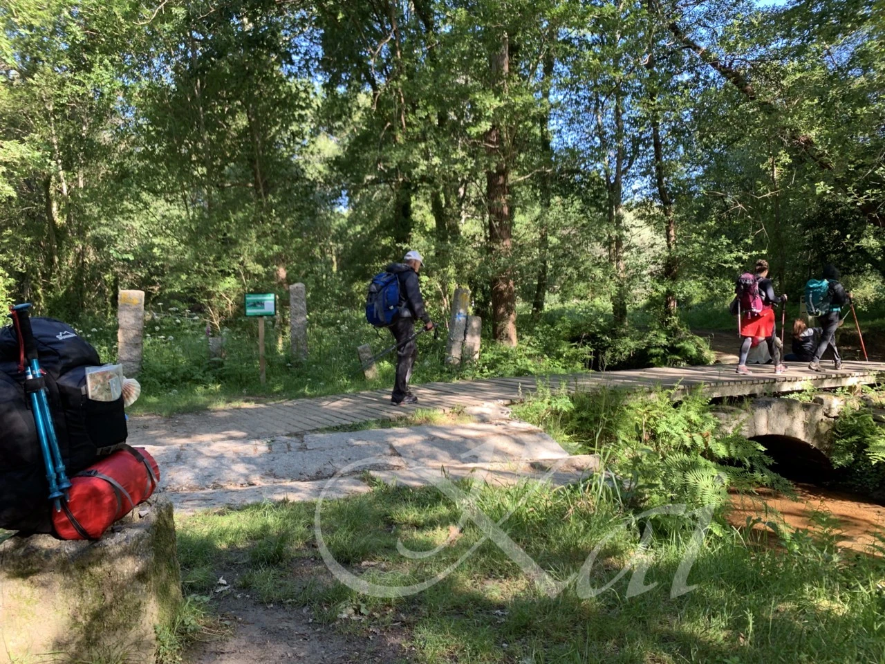 g_89cUd018svc168qpq7bnrv0c_wocx9r.png?type=e1920_std