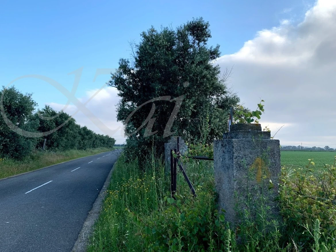 h_404Ud018svc14zwuiwn0kcu6_wocx9r.jpg?type=e1920_std