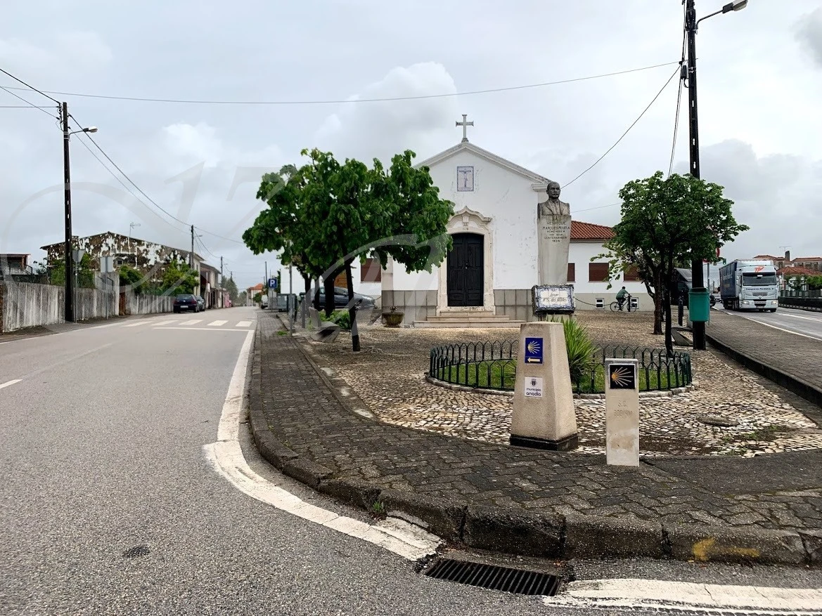 c_jfiUd018svc15n4yosakonus_wocx9r.jpg?type=e1920_std