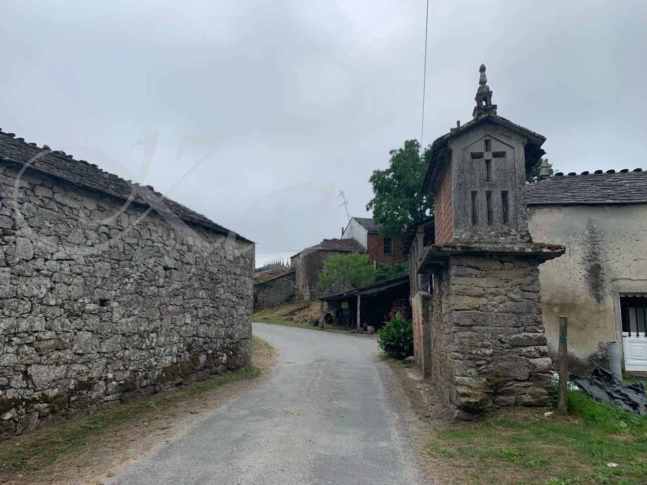 f_42fUd018svcbgfr1fekuvog_wocx9r.jpg?type=e1920_std