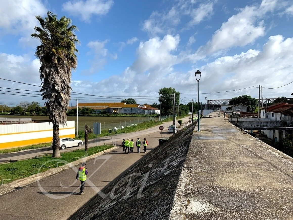 9pMM05gG6p-5vth1vaHyFUmpkSc