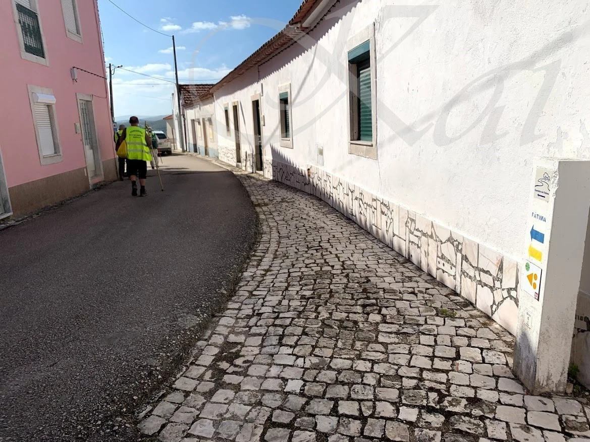 8_g87Ud018svccuuwrnlb8o80_wocx9r.jpg?type=e1920_std