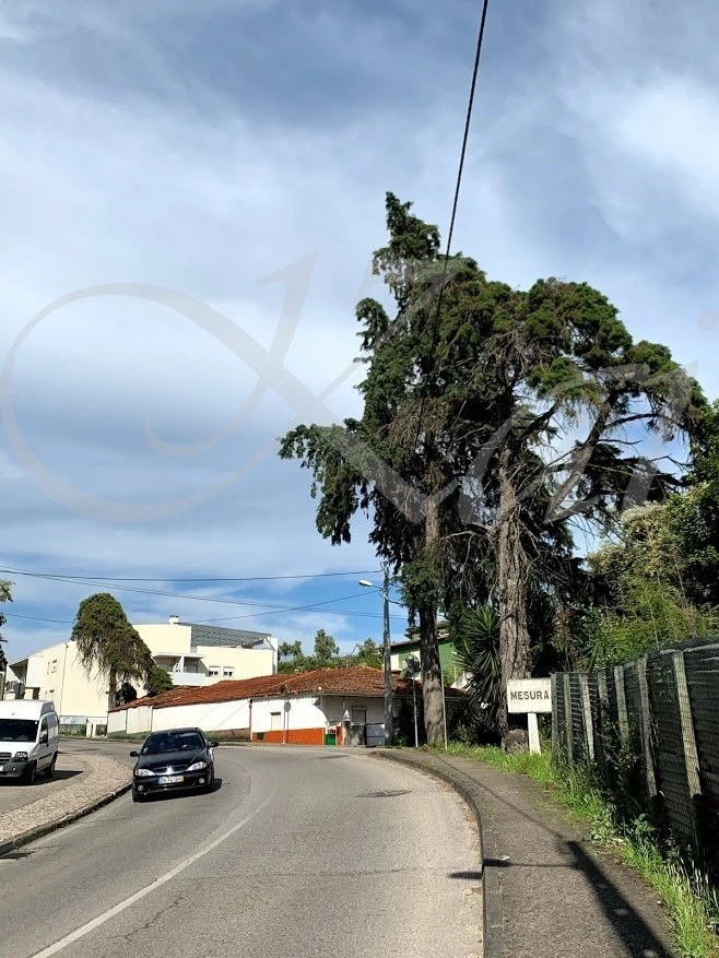 8_34jUd018svc724rl1txrkh5_wocx9r.jpg?type=e1920_std