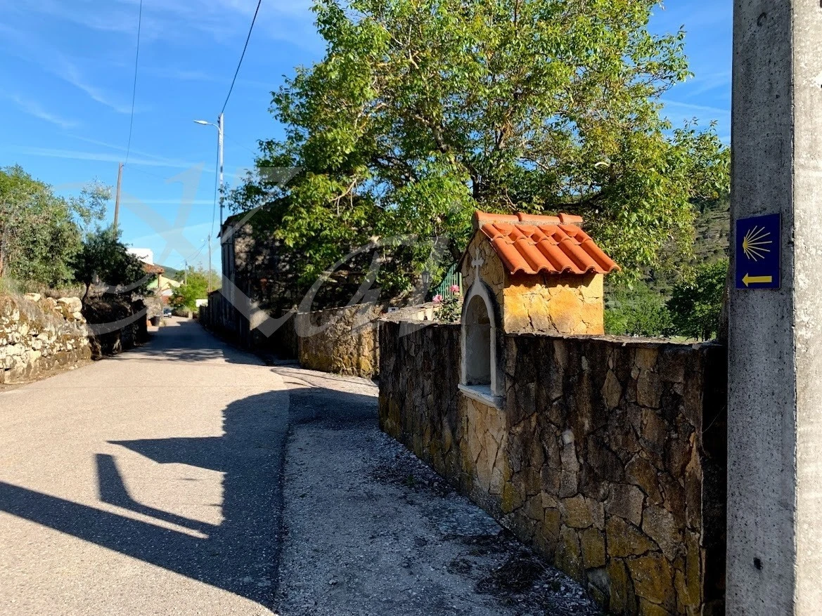 1_i4jUd018svcj42fwpu53ye4_wocx9r.jpg?type=e1920_std