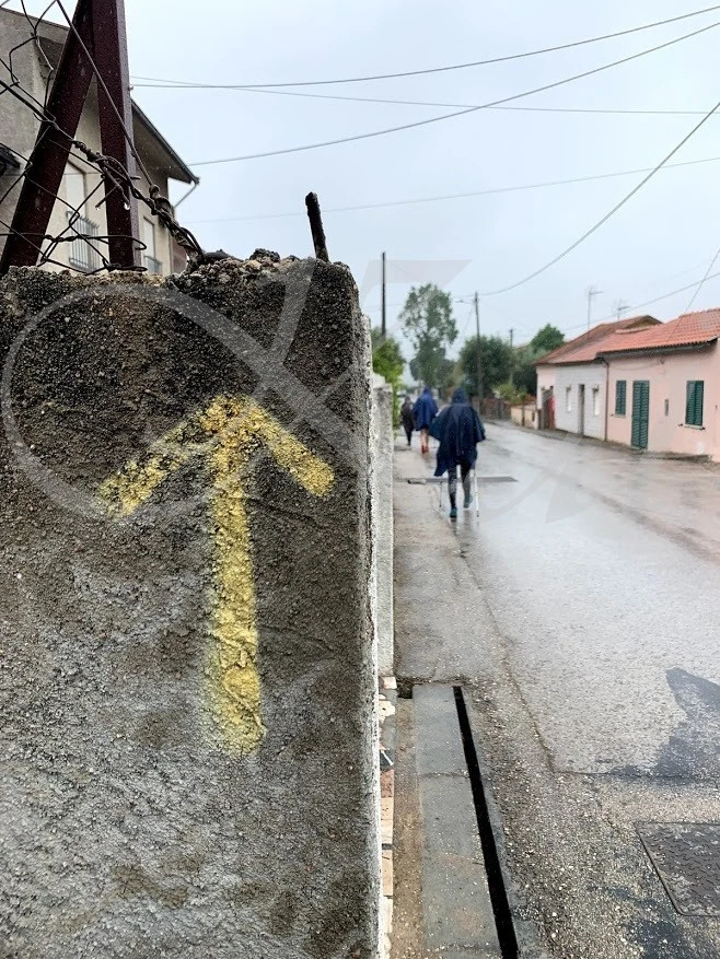 0_g8dUd018svc1g58w4wgvals8_wocx9r.jpg?type=e1920_std