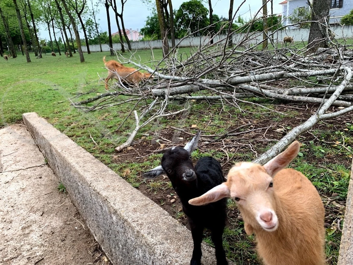 2_934Ud018svctupevq6tee23_wocx9r.jpg?type=e1920_std