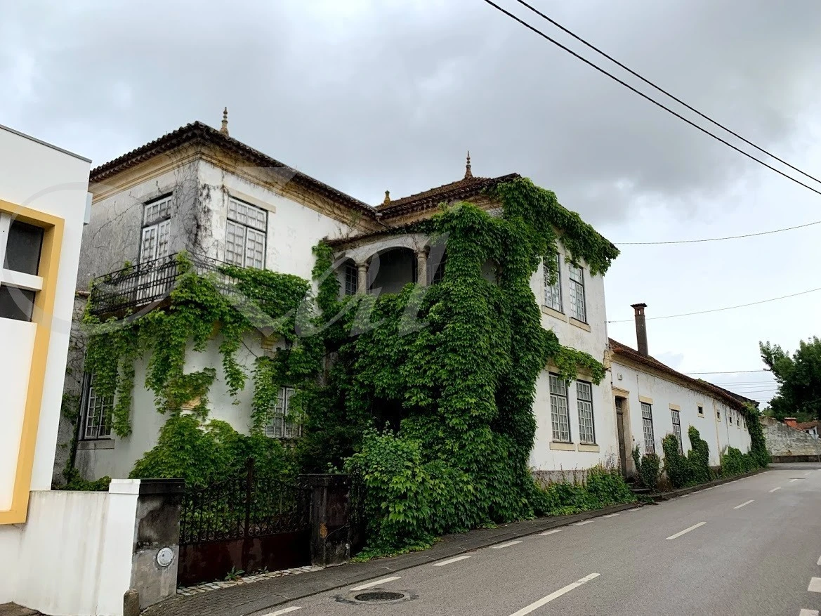 d_gfiUd018svc10jc9sfy6ijgq_wocx9r.jpg?type=e1920_std