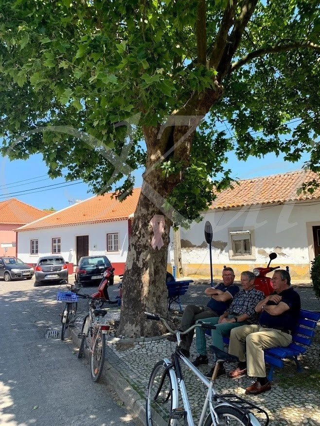 0_9c0Ud018svcqu1oxu9r894e_wocx9r.jpg?type=e1920_std