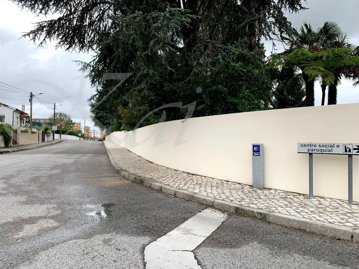 i_5fiUd018svc6ssr7mc2312_wocx9r.jpg?type=e1920_std