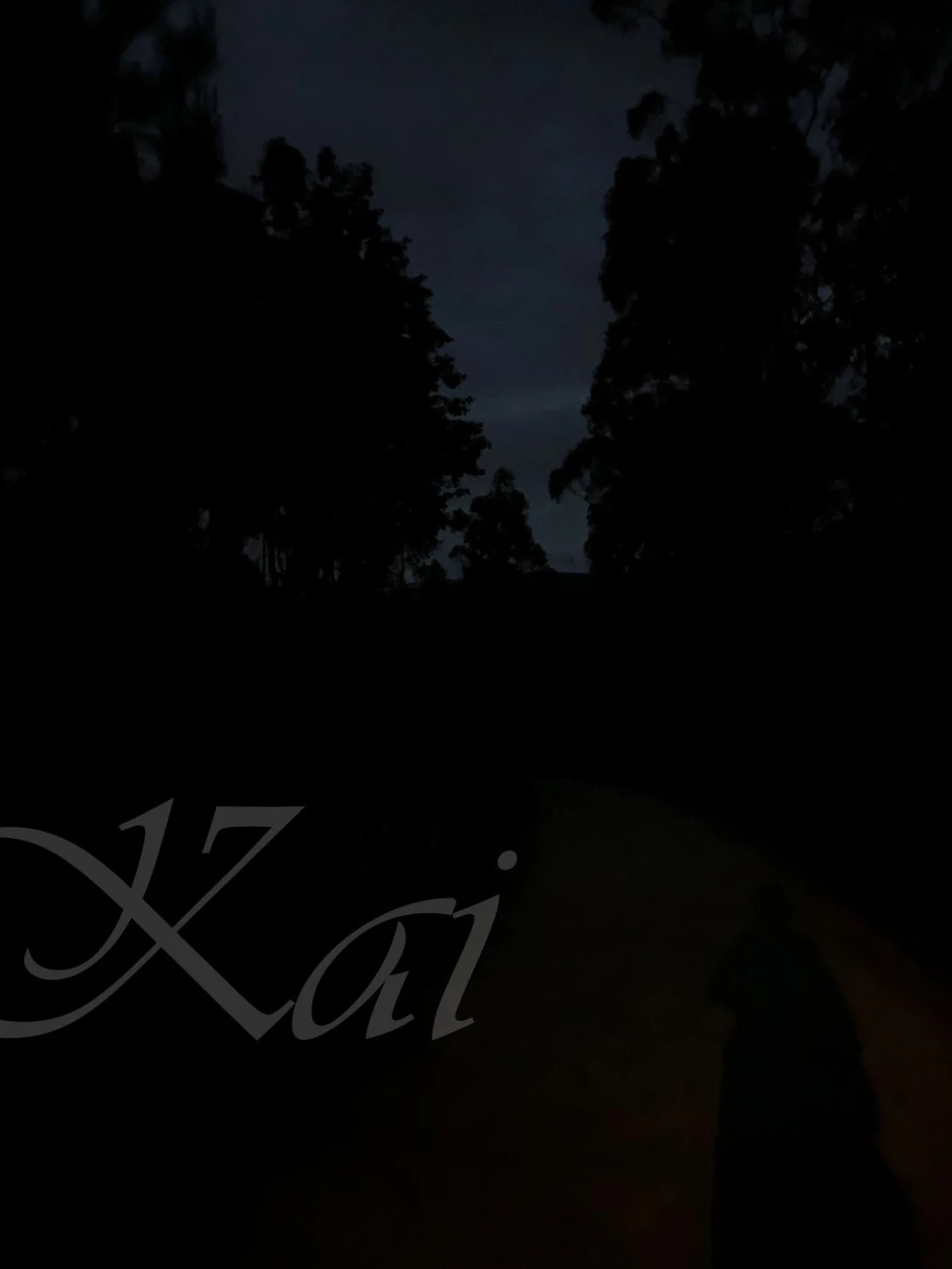 a_16cUd018svc1wjms9p65cjxp_wocx9r.jpg?type=e1920_std