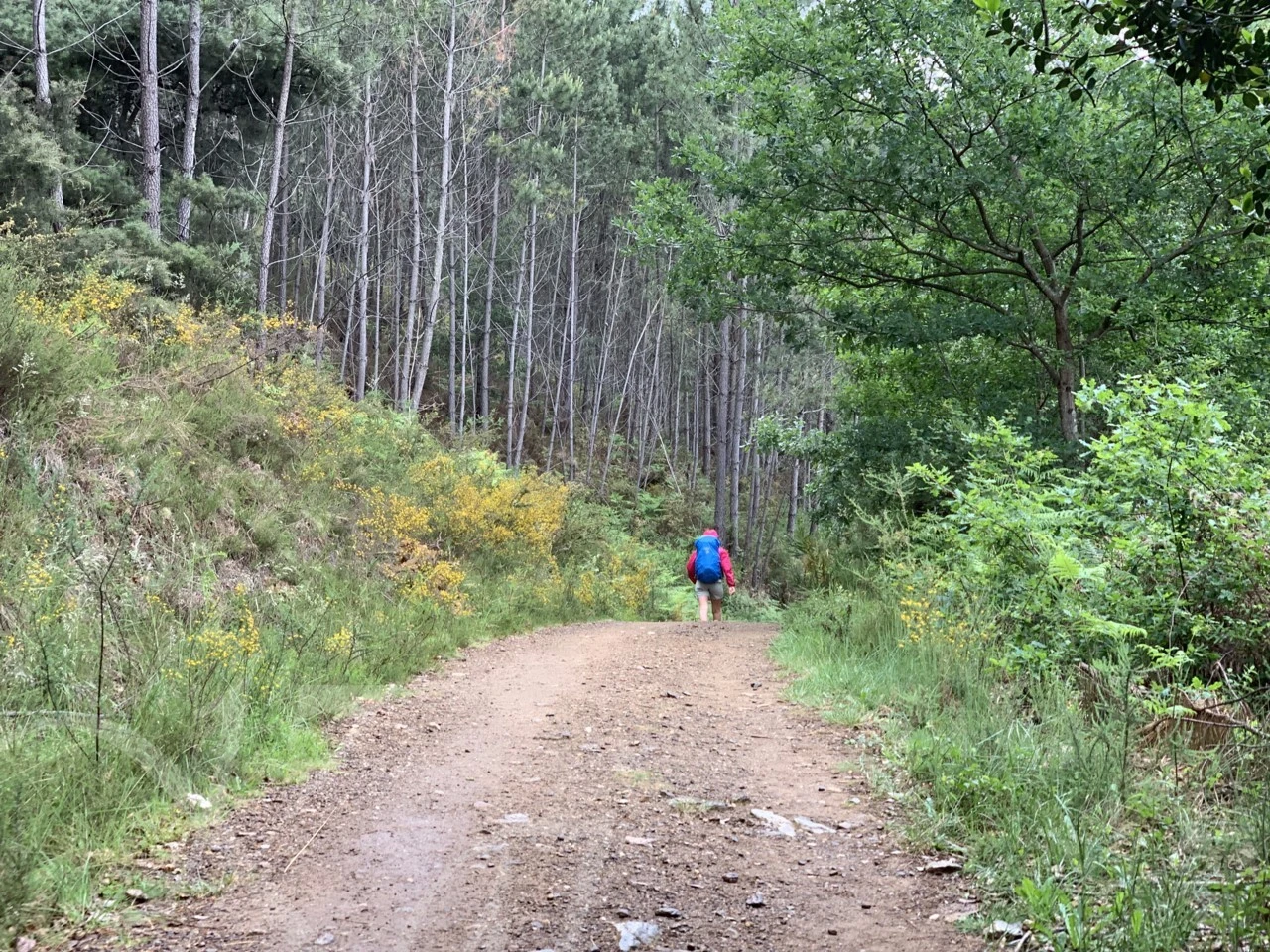 f_h57Ud018svc1kgrqmjt164cw_wocx9r.png?type=e1920_std