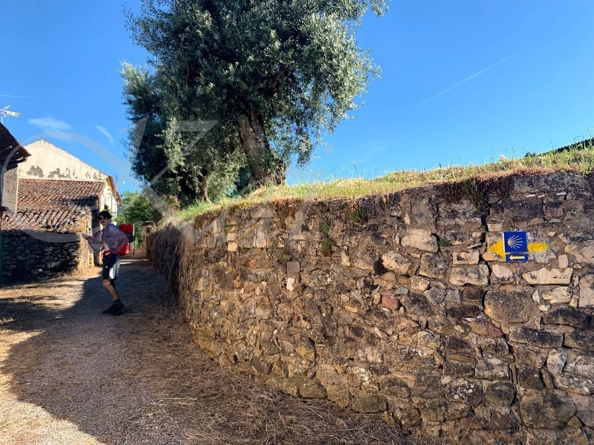 e_4c7Ud018svc8oywz2riy15t_wocx9r.jpg?type=e1920_std