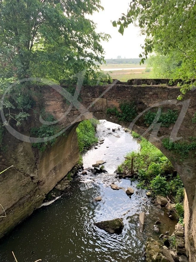 i_e04Ud018svc1s1qaefyw3cp7_wocx9r.jpg?type=e1920_std