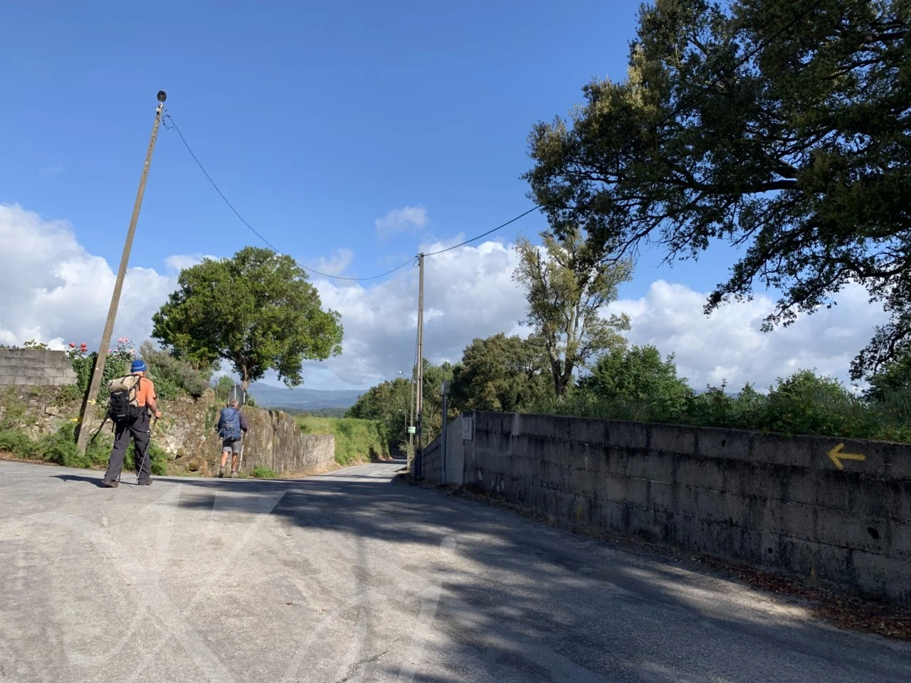 7_geeUd018svcbmj35rtuws5i_wocx9r.png?type=e1920_std