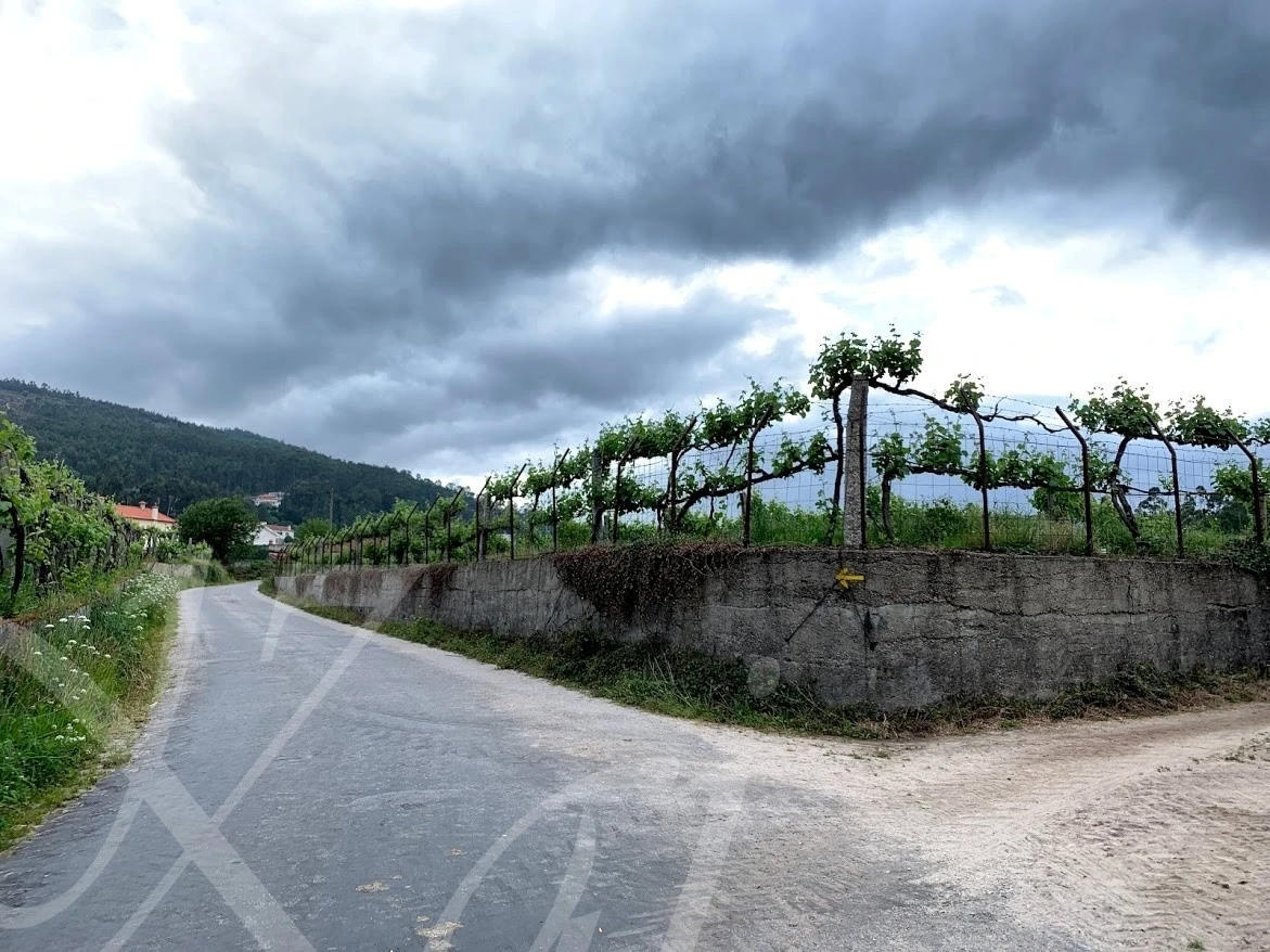 a_7daUd018svc1pirhnbk3wipz_wocx9r.jpg?type=e1920_std